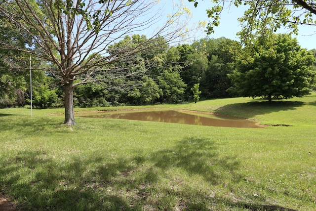 4026 Windland Dr, Springfield, TN 37172 - photo 4