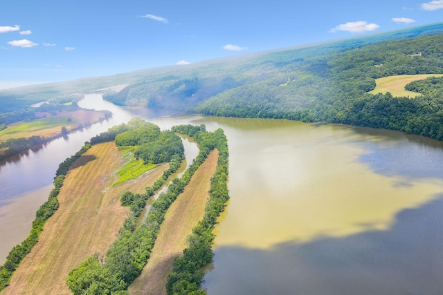 432 Slow Roll Dr, Chapmansboro, TN 37035 - drone / aerial view of a nearby body of water