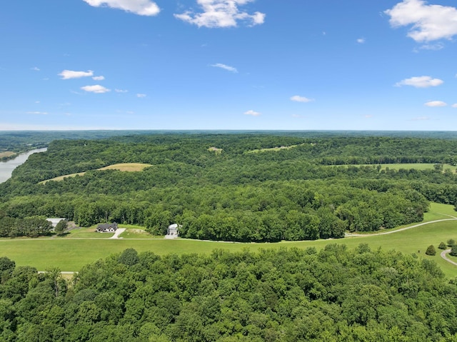 432 Slow Roll Dr, Chapmansboro, TN 37035 - drone / aerial view of a heavily wooded area