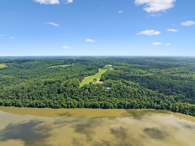 432 Slow Roll Dr, Chapmansboro, TN 37035 - aerial view of a forest and a nearby body of water