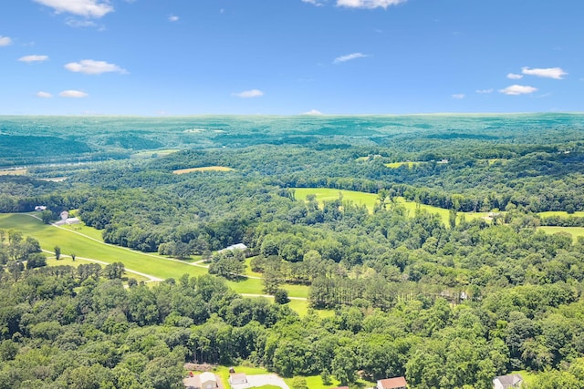 432 Slow Roll Dr, Chapmansboro, TN 37035 - bird's eye view of a forest