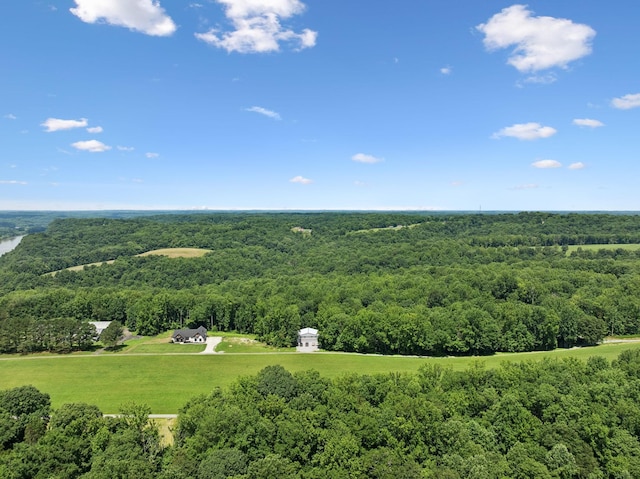 432 Slow Roll Dr, Chapmansboro, TN 37035 - drone / aerial view of a heavily wooded area