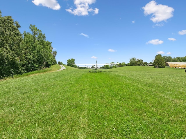 432 Slow Roll Dr, Chapmansboro, TN 37035 - view of green lawn