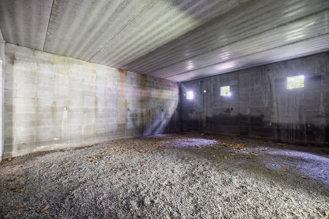 432 Slow Roll Dr, Chapmansboro, TN 37035 - basement with concrete block wall
