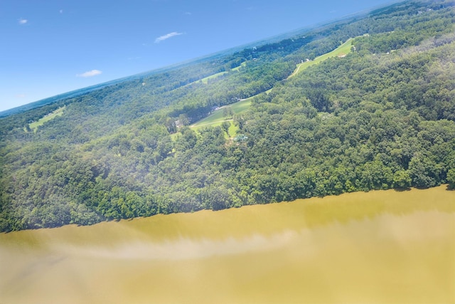 432 Slow Roll Dr, Chapmansboro, TN 37035 - drone / aerial view of a forest