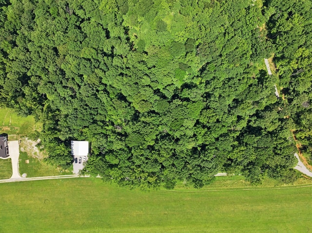 432 Slow Roll Dr, Chapmansboro, TN 37035 - drone / aerial view