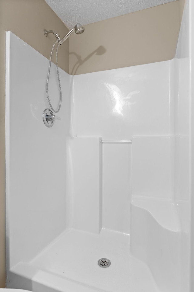 7215 Horn Tavern Rd, Fairview, TN 37062 - bathroom with a textured ceiling and a shower