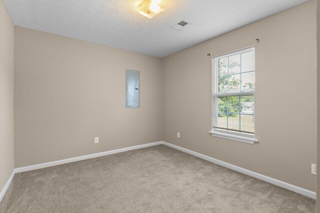 7215 Horn Tavern Rd, Fairview, TN 37062 - carpeted spare room with electric panel and a textured ceiling
