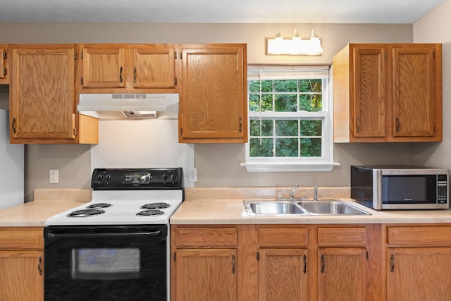 7215 Horn Tavern Rd, Fairview, TN 37062 - kitchen featuring range with electric cooktop, under cabinet range hood, stainless steel microwave, and light countertops