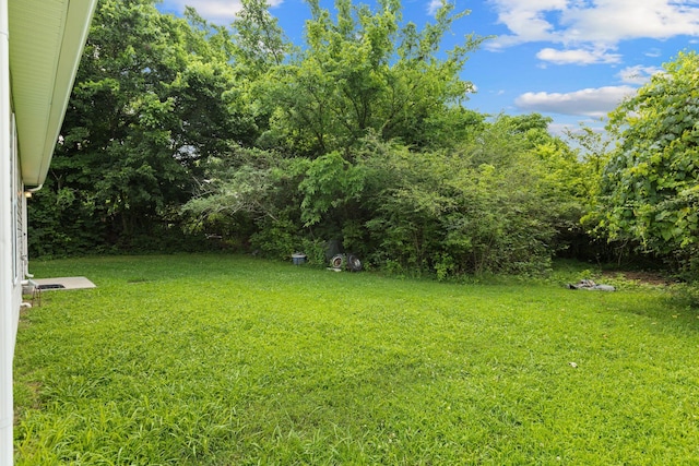 7215 Horn Tavern Rd, Fairview, TN 37062 - view of green lawn