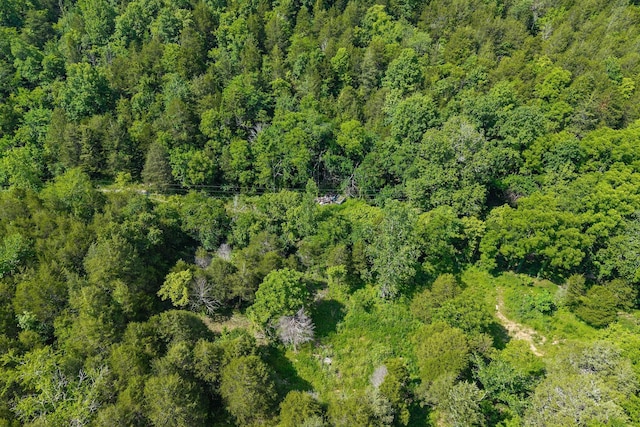 441 Pumpkin Hollow Rd, Liberty, TN 37095 - photo 19