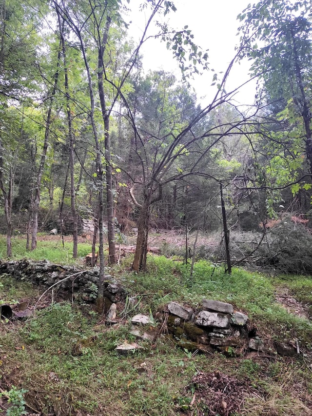 441 Pumpkin Hollow Rd, Liberty, TN 37095 - photo 15