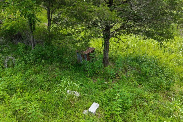 441 Pumpkin Hollow Rd, Liberty, TN 37095 - photo 6