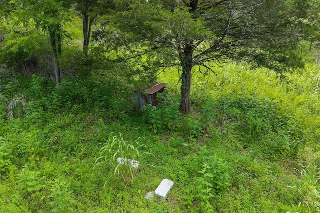 441 Pumpkin Hollow Rd, Liberty, TN 37095 - photo 17