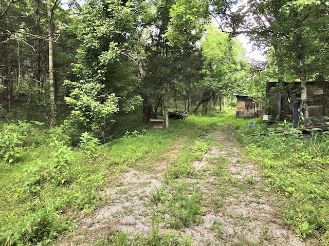 441 Pumpkin Hollow Rd, Liberty, TN 37095 - photo 5