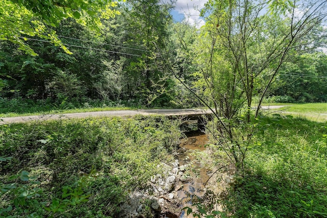 441 Pumpkin Hollow Rd, Liberty, TN 37095 - photo 23