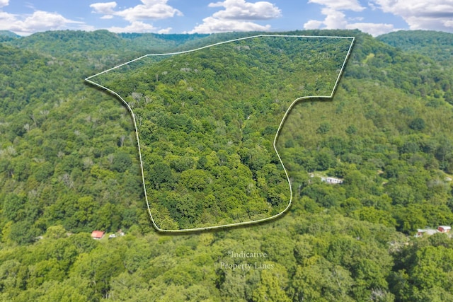 441 Pumpkin Hollow Rd, Liberty, TN 37095 - photo 2