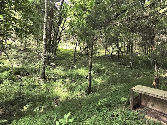 441 Pumpkin Hollow Rd, Liberty, TN 37095 - photo 27