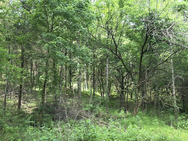 441 Pumpkin Hollow Rd, Liberty, TN 37095 - photo 31