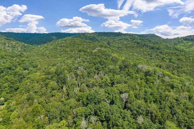 441 Pumpkin Hollow Rd, Liberty, TN 37095 - photo 18