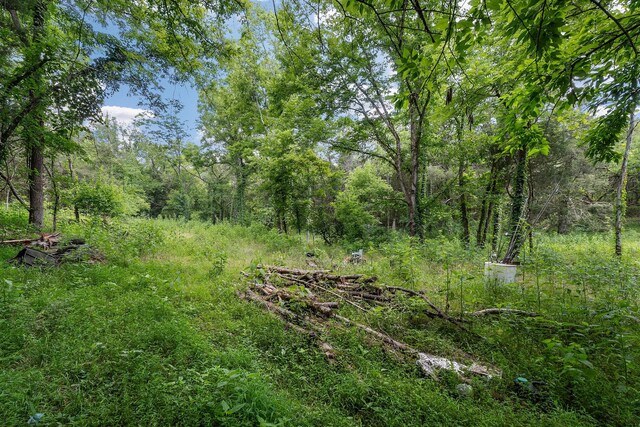 441 Pumpkin Hollow Rd, Liberty, TN 37095 - photo 3