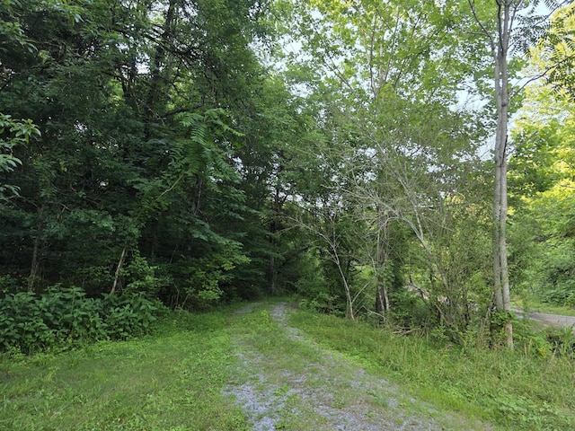 441 Pumpkin Hollow Rd, Liberty, TN 37095 - photo 39