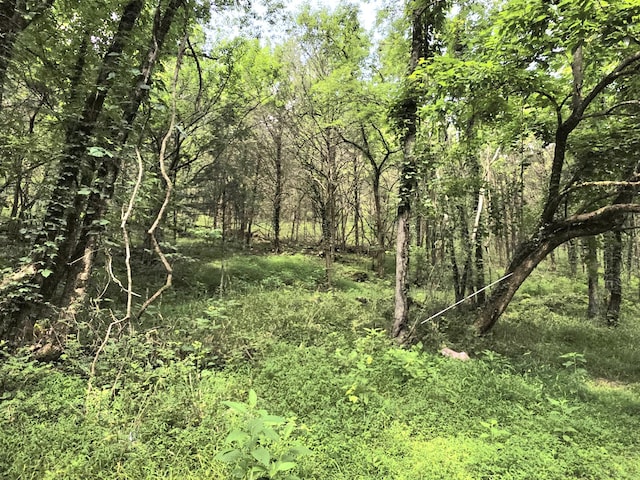 441 Pumpkin Hollow Rd, Liberty, TN 37095 - photo 26