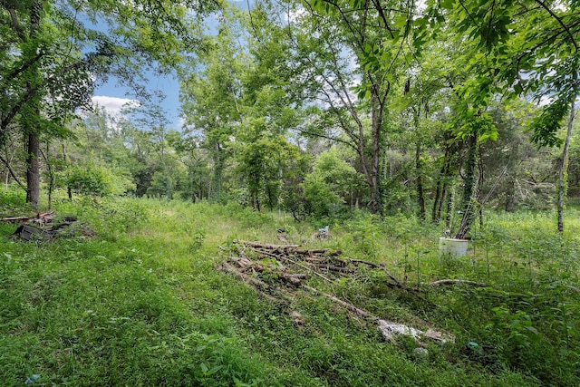 441 Pumpkin Hollow Rd, Liberty, TN 37095 - photo 38