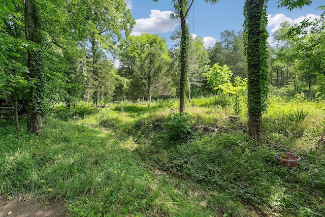441 Pumpkin Hollow Rd, Liberty, TN 37095 - photo 35