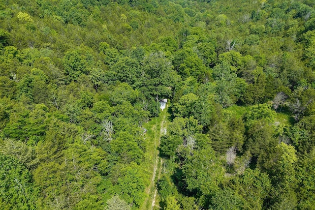 441 Pumpkin Hollow Rd, Liberty, TN 37095 - photo 16