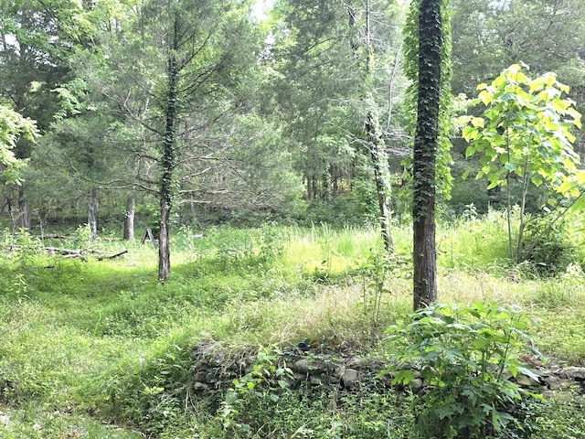 441 Pumpkin Hollow Rd, Liberty, TN 37095 - photo 33