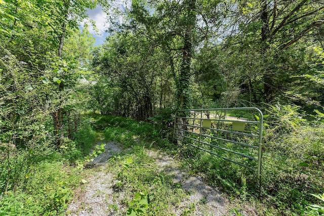 441 Pumpkin Hollow Rd, Liberty, TN 37095 - photo 24