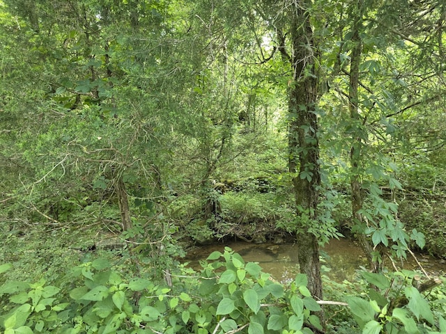 441 Pumpkin Hollow Rd, Liberty, TN 37095 - photo 34