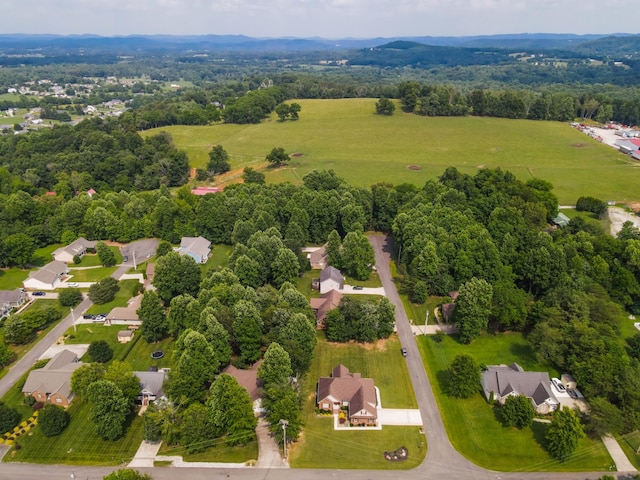 902 Evelyn Ct, Cookeville, TN 38506 - photo 41