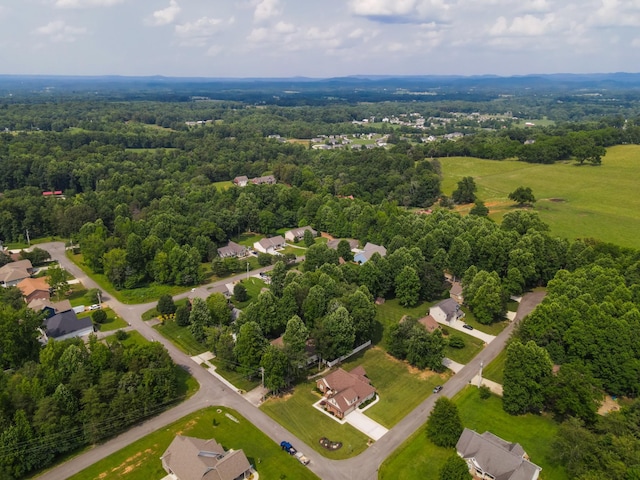 902 Evelyn Ct, Cookeville, TN 38506 - photo 40