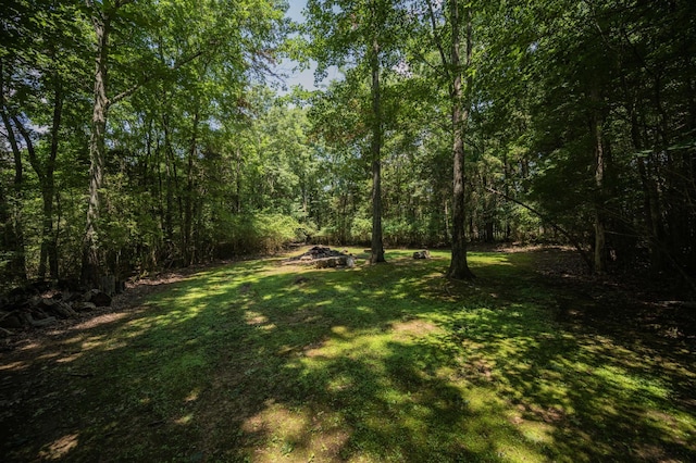 602 Narrows Rd, Shelbyville, TN 37160 - photo 11