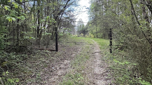 556 Lee Hargis Rd, Gruetli Laager, TN 37339 - photo 1
