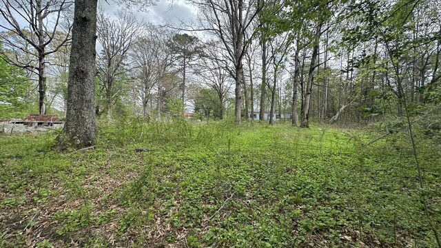 556 Lee Hargis Rd, Gruetli Laager, TN 37339 - photo 8