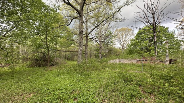 556 Lee Hargis Rd, Gruetli Laager, TN 37339 - photo 7