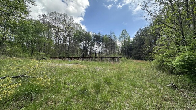 556 Lee Hargis Rd, Gruetli Laager, TN 37339 - photo 10