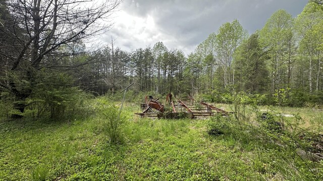 556 Lee Hargis Rd, Gruetli Laager, TN 37339 - photo 9