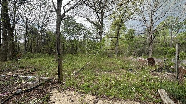 556 Lee Hargis Rd, Gruetli Laager, TN 37339 - photo 4
