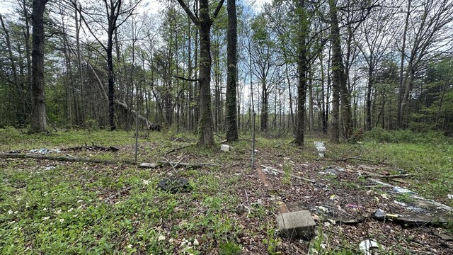 556 Lee Hargis Rd, Gruetli Laager, TN 37339 - photo 5