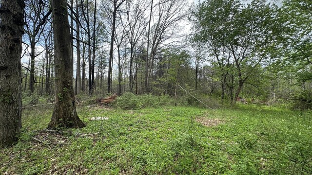 556 Lee Hargis Rd, Gruetli Laager, TN 37339 - photo 6