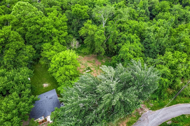 123 Church Ct, Clarksville, TN 37042 - photo 6