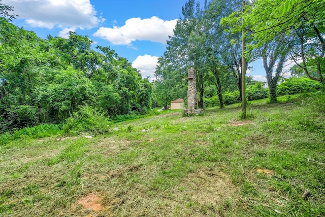 123 Church Ct, Clarksville, TN 37042 - photo 4