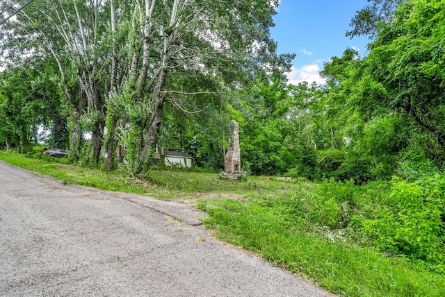 123 Church Ct, Clarksville, TN 37042 - photo 3