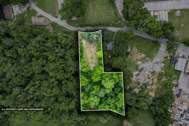 123 Church Ct, Clarksville, TN 37042 - photo 1