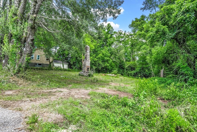 123 Church Ct, Clarksville, TN 37042 - photo 2