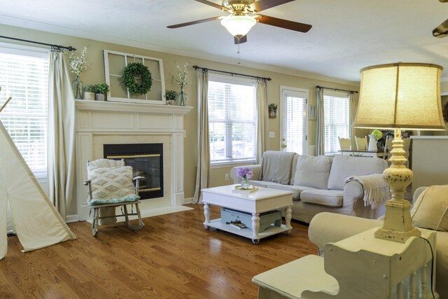 407 Shadowood Dr, Smyrna, TN 37167 - photo 10